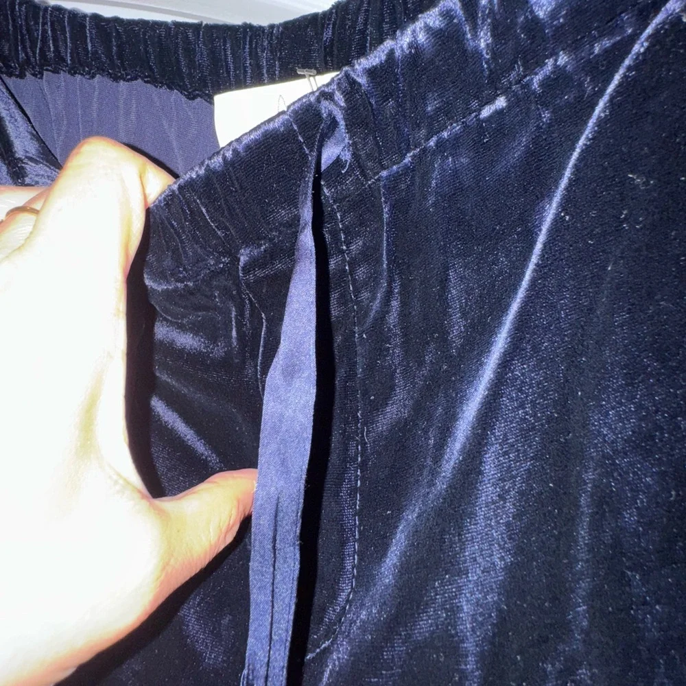 Joie Velvet and Satin Women's Blazer Pant set - Picture 6 of 13